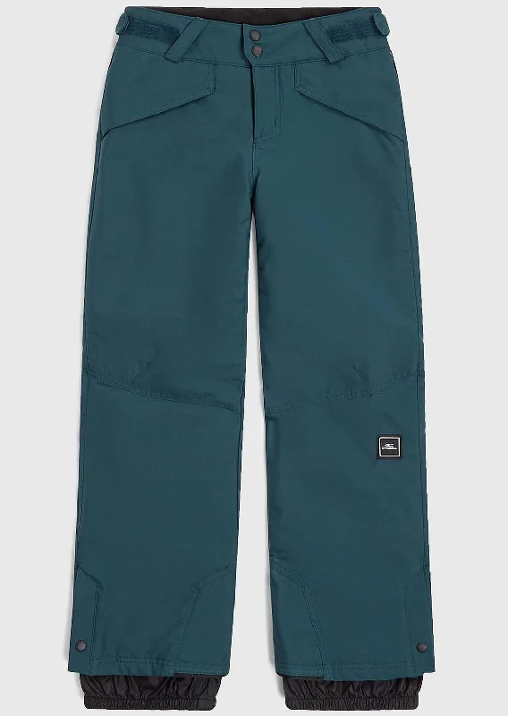 O'Neill Men's Hammer Insulated Snow Pants