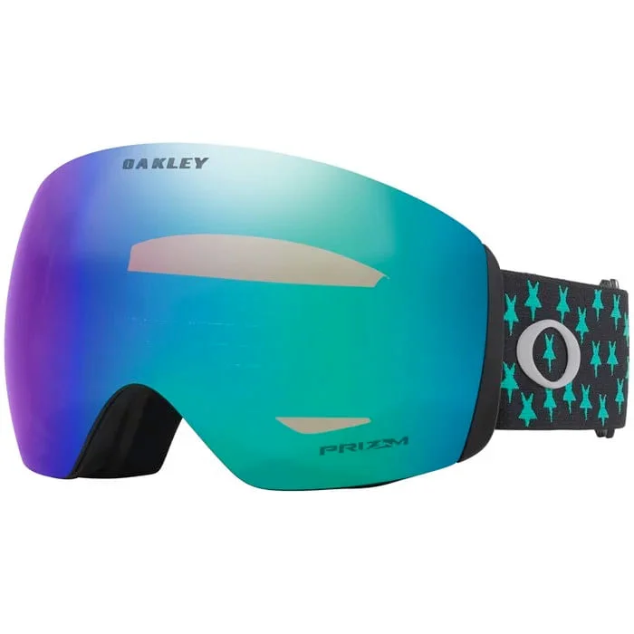 Oakley Flight Deck L Snow Goggle